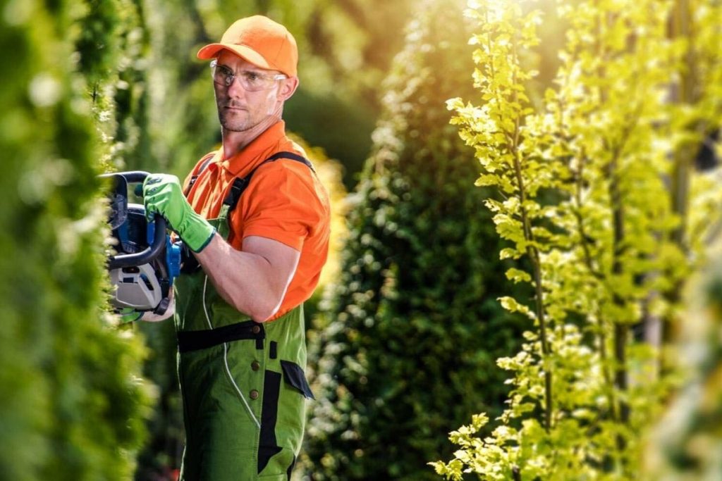 Go Al Fresco The Benefits of an Outdoor Job Colliers News